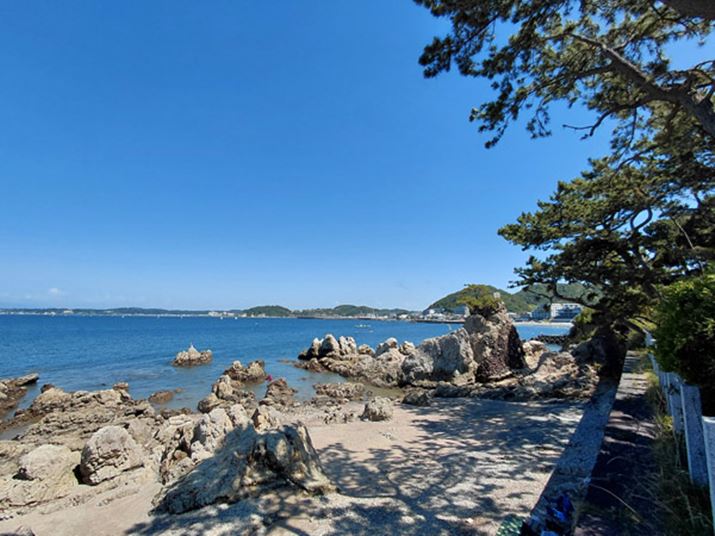 邭ʂ邪AnCCgɂȂ̊┧Õ̖؉A̔ZWキȂ