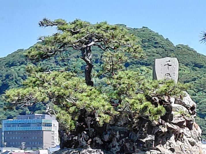 10{̍ő{ŎBƁAȂe掿ɂȂBgꂢȉfch_ŌƁA\̌E