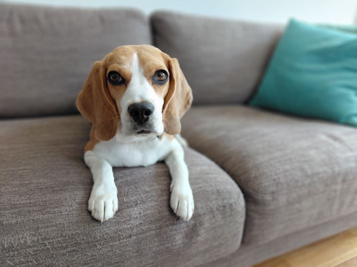 |[g[g[hŎBeBwiƔʑ̂̋Ei`Ȕwi{Pꂽ