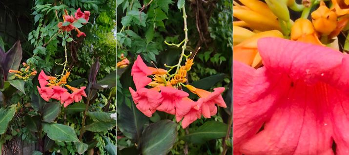 AW{A2{fW^Y[Aől10{fW^Y[ŎBe