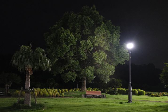 X-T30 IIIAXF27mmF2.8 R WRA27mmi35mmZ41mmjAF2.8A1/35bAISO6400AzCgoXFI[gAtBV~[VFPROVIA/X^_[hBeʐ^i6240×4160A13.3MBj