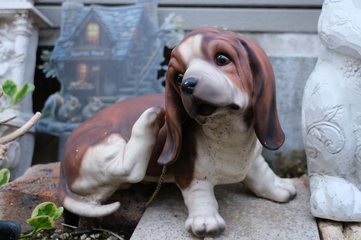 X-T30 IIIAXC13-33mmF3.5-6.3 OISA24.7mmi35mmZ37mmjAF5.3A1/200bAISO1250AzCgoXFI[gAtBV~[VFPROVIA/X^_[hBeʐ^i6240×4160A11.8MBj