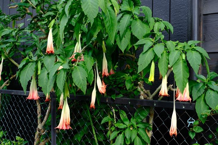 X-T30 IIIAXC13-33mmF3.5-6.3 OISA33mmi35mmZ50mmjAF6.3A1/140bAISO160AzCgoXFI[gAtBV~[VFVelvia/rrbhBeʐ^i6240×4160A15.8MBj