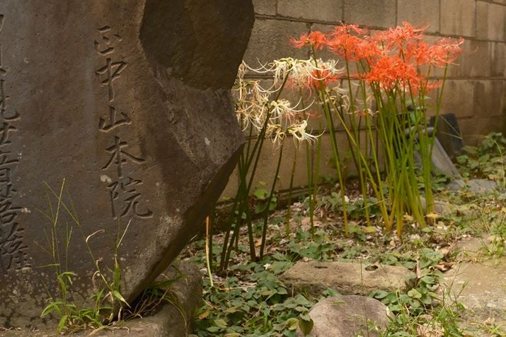 X-T30 IIIAXC13-33mmF3.5-6.3 OISA33mmi35mmZ50mmjAF7.1A1/1000bAISO12800AzCgoXF6700KAtBV~[VFmX^WbNlKBeʐ^i6240×4160A14.7MBj