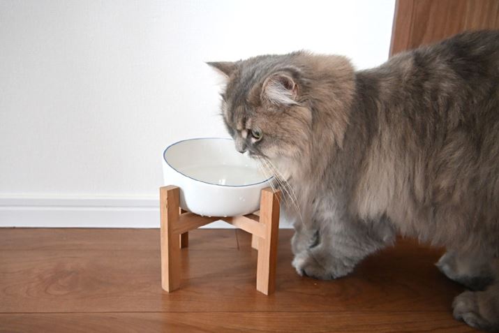 L͒EǏN₷ŁA萅łقƎvĂ̂łꂵł