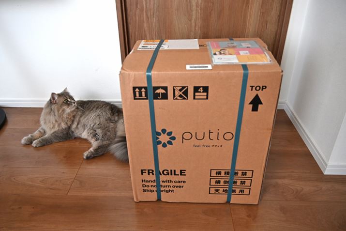 i{[͑l1lŎ^ׂ傫łAɂ͏d܂