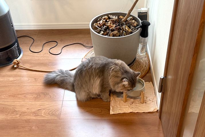 ܂ł݂悭AKuKuł܂