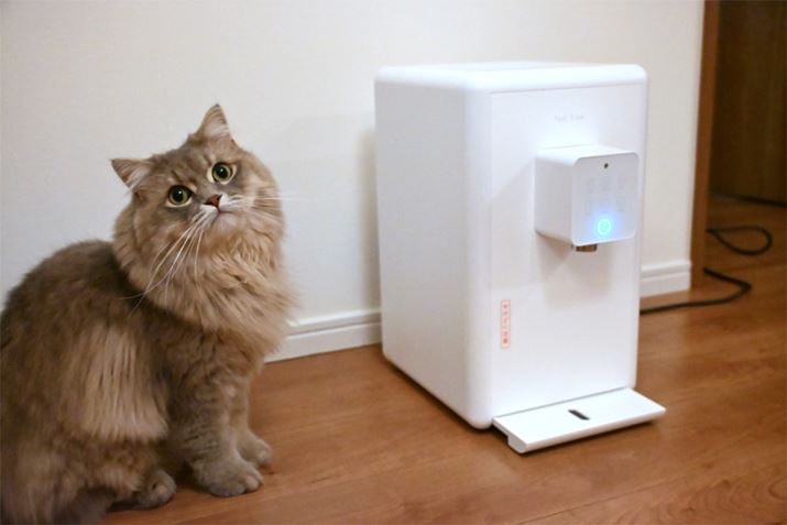 L̈ݐɂgƍlđI񂾂̂uputiovł