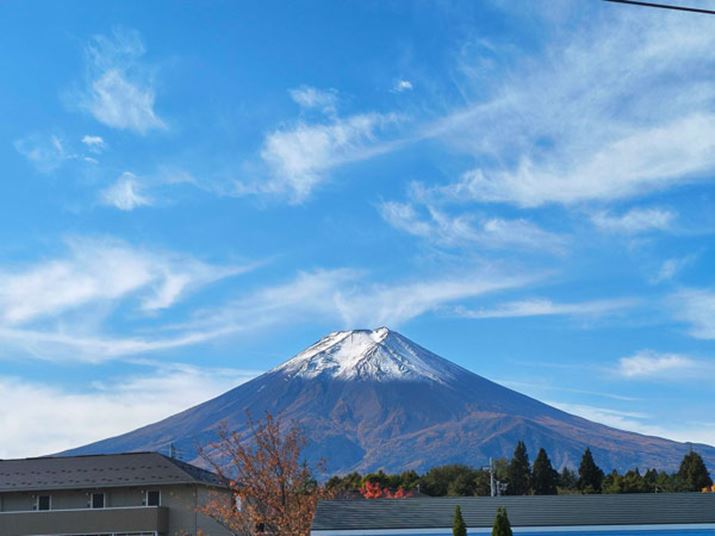 RgXg̍\}j]ȂʂĂB܂AR̍rXfBe[̍ČBAIp邱Ƃň肵掿ŎBeŝuarrows Alphav̖͂