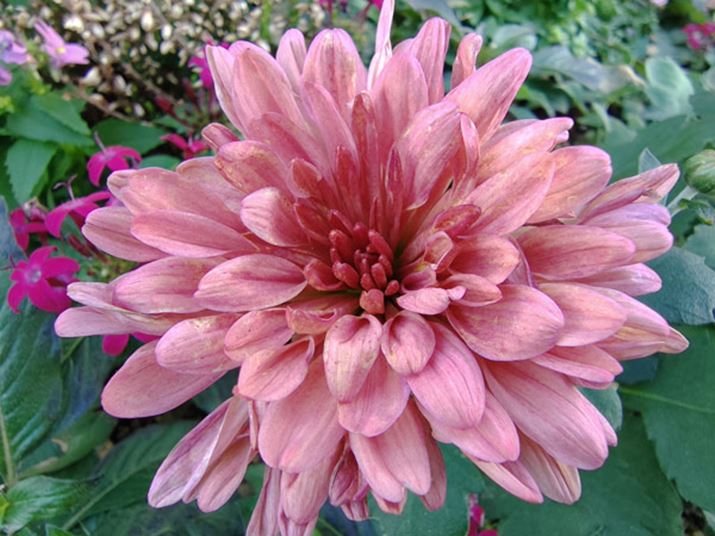 ݒŁuI[giCgvuI[g}NvIɂĂƁAV[ɂĎŃ[h؂ւA}NBeʑ̂ɋ߂Â邾ŊȒPɎB܂