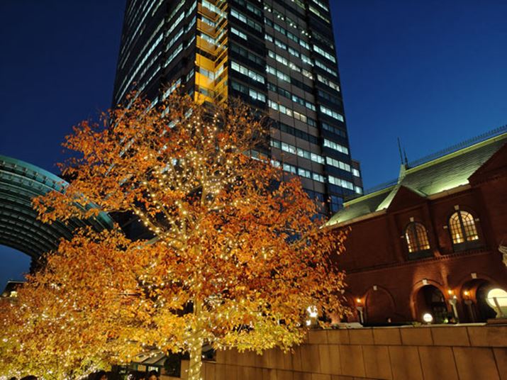 ݒŁuiCgI[gvIɂƁA[h؂ւԂȂBe\BԂ┒тȂAǂ⃌K̃fBe[oĂĂꂢȈۂł