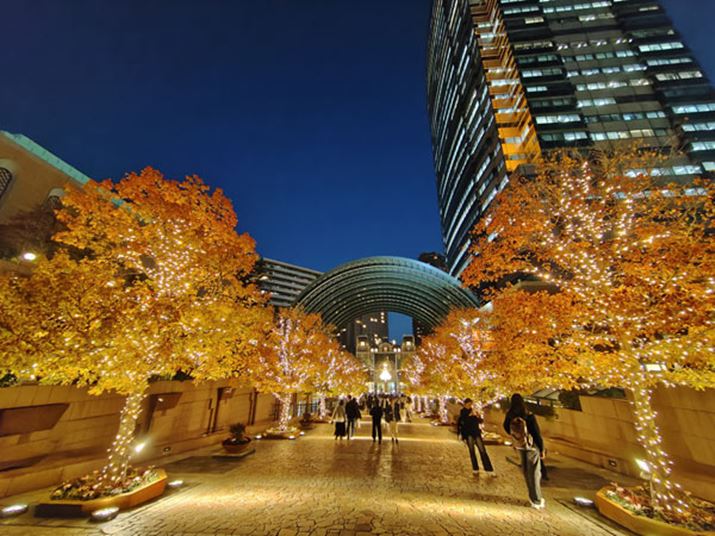 WJɔׂƍוCɂȂ̂́ALpJł\邭ꂢȖiB܂