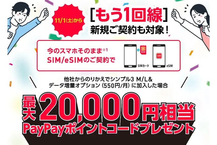 �Ҍ��z�́A��������v������I�v�V���������ɂ��ϓ�����