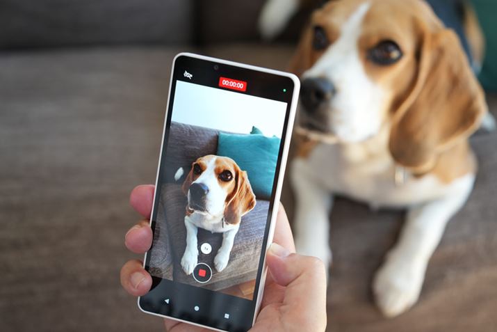 ���B��{�^���͒Z�����Ŏʐ^�A�������œ�����B�e�ł���B�Ȃ��A��ʃ��f���́uXperia 1 VII�v�̃J�����{�^���Ƃ͈قȂ�A�������Ńs���g���Œ肷��@�\�͂Ȃ�