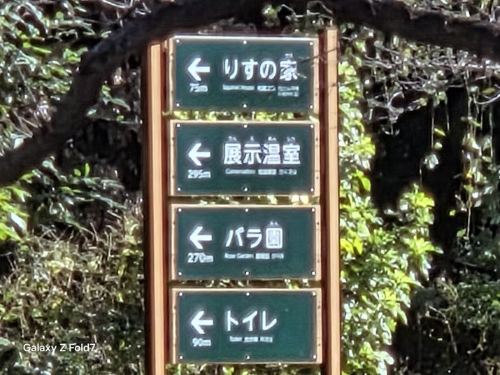 ��́uPixel 10 Pro Fold�v�i�]���J�����A���𑜃Y�[��20�{�j�A���́uGalaxy Z Fold7�v�i�]���J�����A���𑜃Y�[��30�{�j