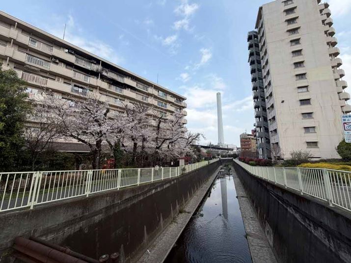 �uiPhone 17�v�̒��L�p�J�����ŎB�e