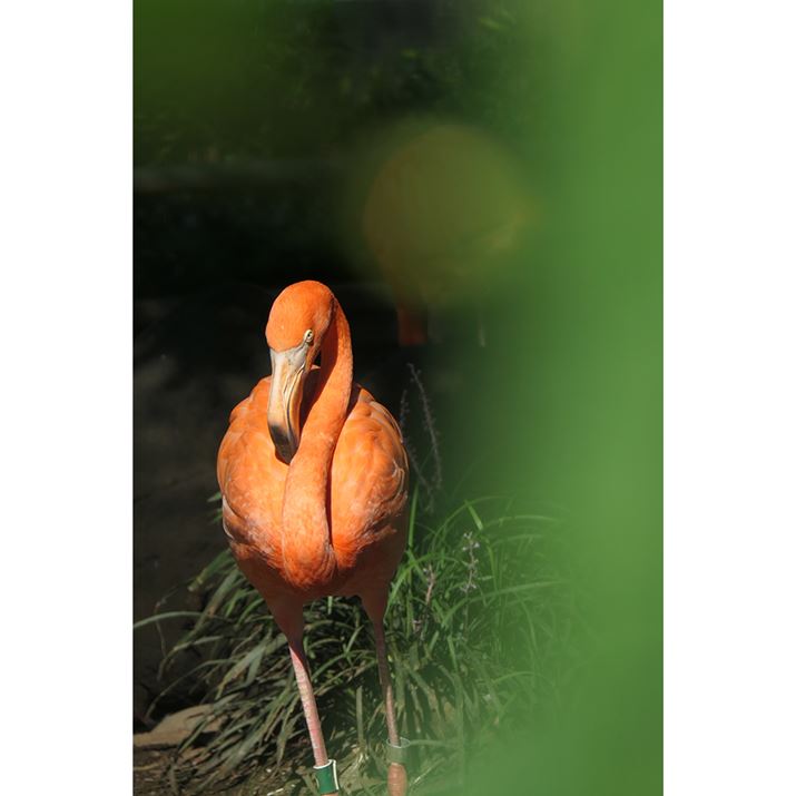 LUMIX TX3�A132mm�i35mm�����Z360mm�����j�AF6.4�A1/250�b�AISO125�A�z���C�g�o�����X�F�I�[�g�A�t�H�g�X�^�C���F�X�^���_�[�h