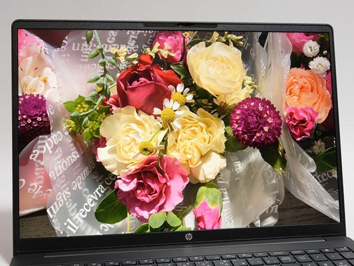 �F���sRGB�J�o�[��62.5���ł����A���p��͏\���Ȕ��F�ŕ\������܂�