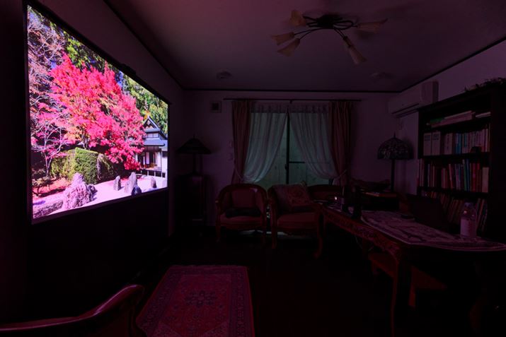 �uElfin Flip 4K�v�̎��ʉf���͂�����B�ʐ^�ł͂킩��ɂ��������ł����A�uElfin Flip Laser�v�Ƃ͐F�Č�����𑜊��ō����łĂ��܂���