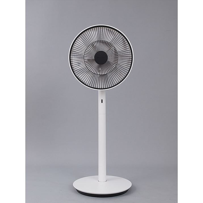 ʏ펞́uGreenFan Japanv