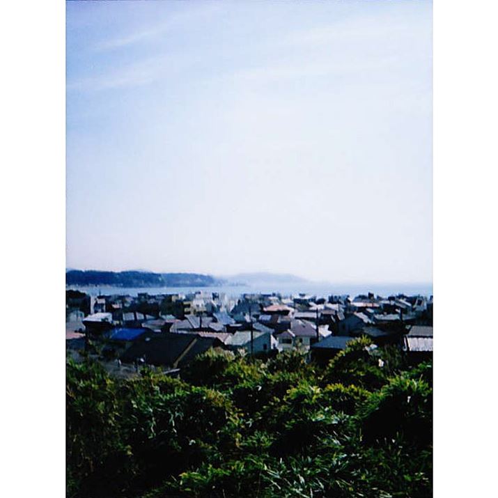 m[}Ɖi[h̔rB̔ʑ̂V[vɎʂĂ炵̂AقƂǕς炸H