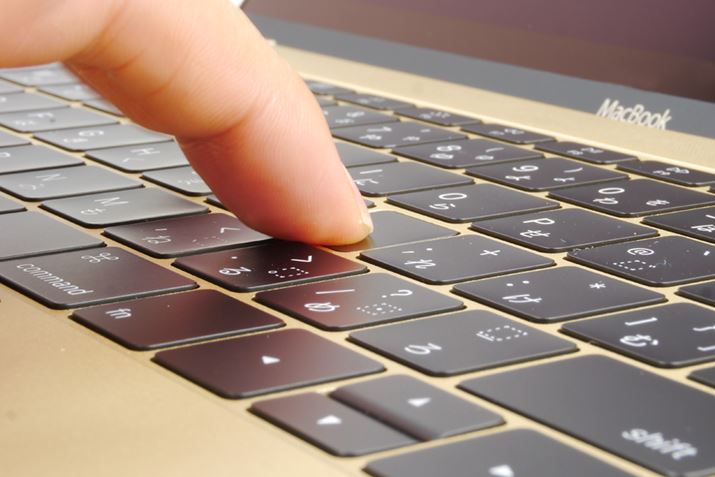 D݂̕ƂȂ̂ŁAۂɎĂ画fƂ낤