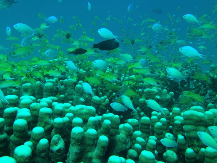 SS-i5ɓꂽiPhone5ŎBe1BzIȊC̗lqAȒPɔBeł