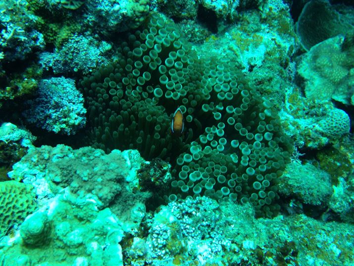 [10mقǂŎBN}m~BN}m~Ă悭ȂAƂŊg傷OK