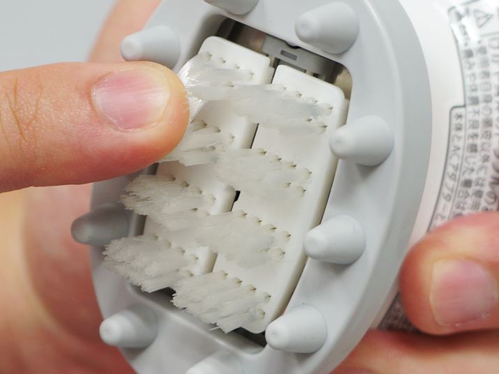 d߂̎uV̂悤ȎGŁA͂ՂBuV̖т͂ȂׂAь̉ꂻ