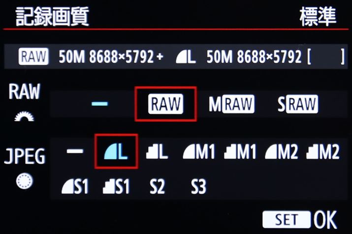 Li[Wjł̋L^f8688×5792