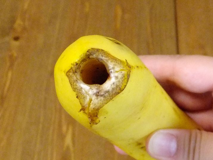 pCvƁAӊOƑ傫Ȍ󂫂܂BȂAՂ`Rꂻł