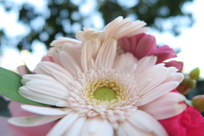 F1.8�A1/400�b�AISO125�AEV+1.3