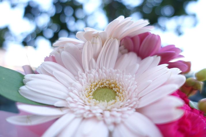 F1.8�A1/200�b�AISO125�AEV+1.3