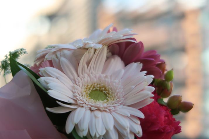 F2.8�A1/400�b�AISO125�AEV+0.3