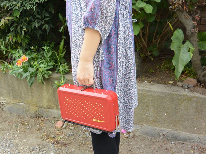 ʂ̓ɁgڂBBQh邽߂ɎĂ......