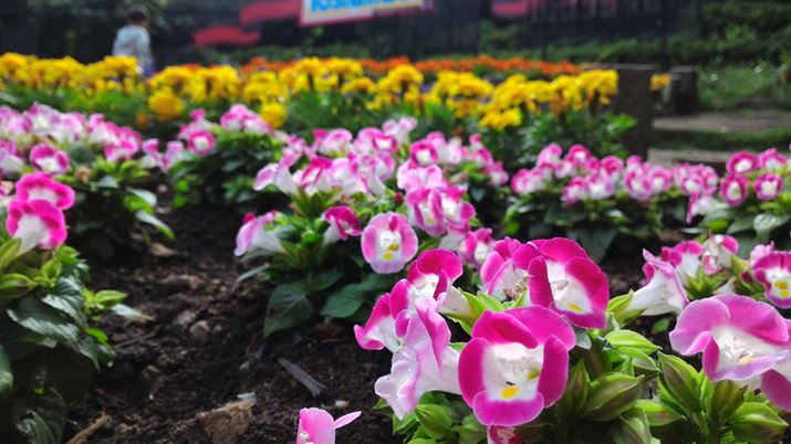 X}[gtH̃JƂĕŝȂʂ