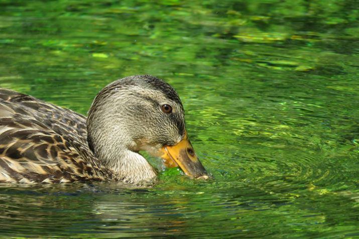 œ_247mmi35mmZ1365mmj