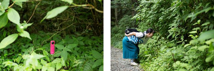 V[^𑐂ނɐݒuāAĔ`Ă݂