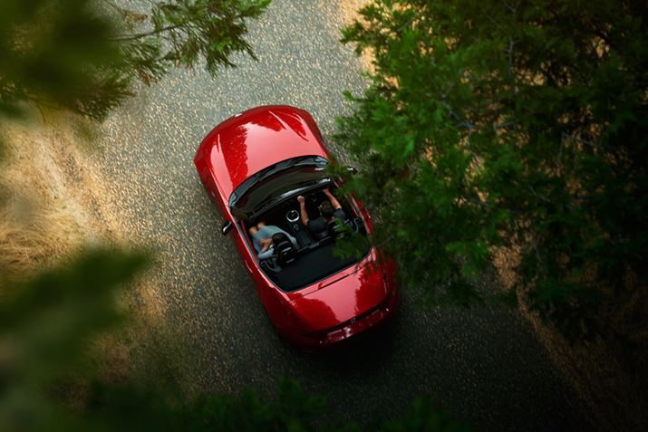 yĂ݂̊mCYȂA̖܂ŕقǂ