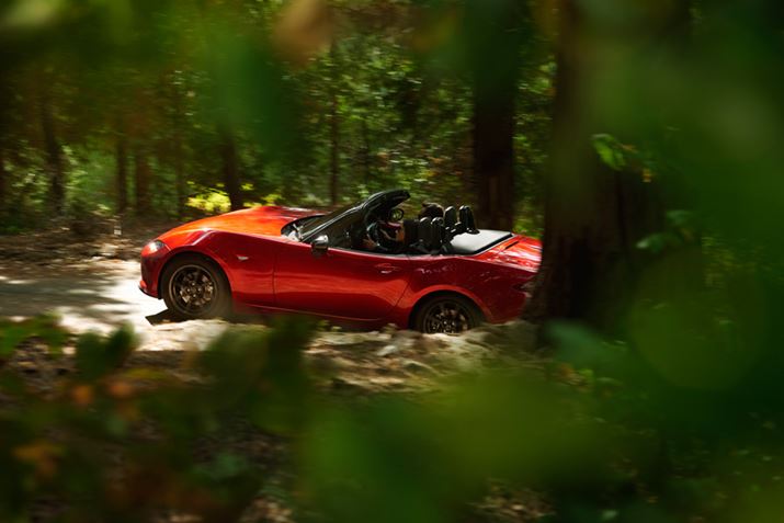 ͓{IƂln̂AO[oȊoɋ߂ug؂vƂlςɃgX[gĂ