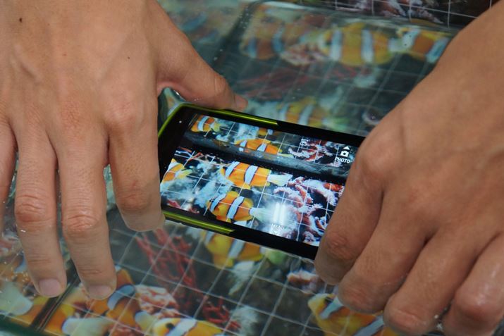 ɐZƁAJBe[hɐ؂ւBBe[hł͐Fʂ̂䂪݂␳