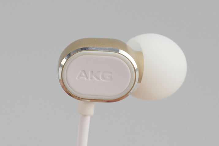 AKGƋLĂO̗lqBvX`bN̂悤ȎŃt^ꂽ悤Ȍ`ɂȂĂ