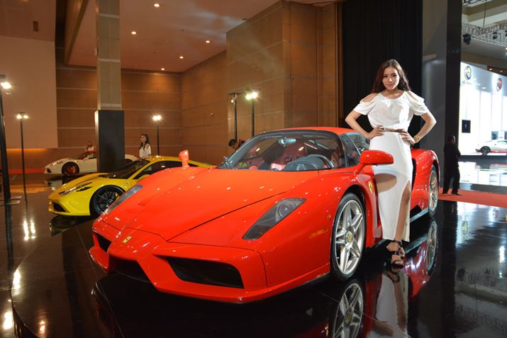 sAԂpAtF[g^̃nA[Ȃǂł