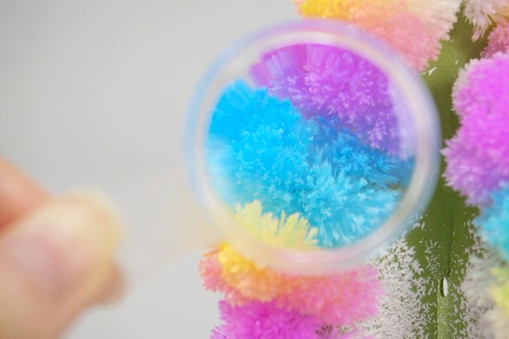 t̃[yŁǍ`ώ@ł܂BɐFĂ̂́ApɒFĂ邩ł