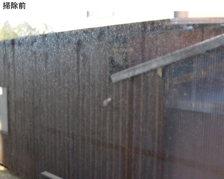 �|���O�i�Ƃ̒����猩����ԁj