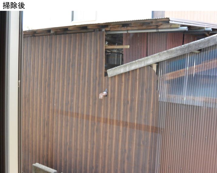 �|����i�Ƃ̒����猩����ԁj