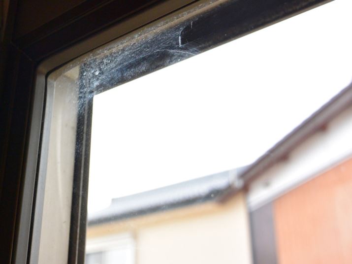 ��̂ق��ɂ͂�����Ɖ��ꂪ�c����