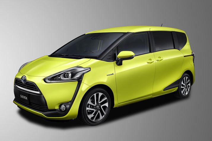 {fB\ʂɑ菑̂悤ɗ鍕p[cȎ傫ȓ