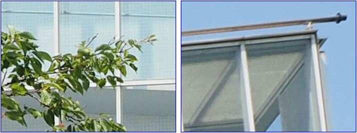 ISO200A1/2000bAEV+0.7