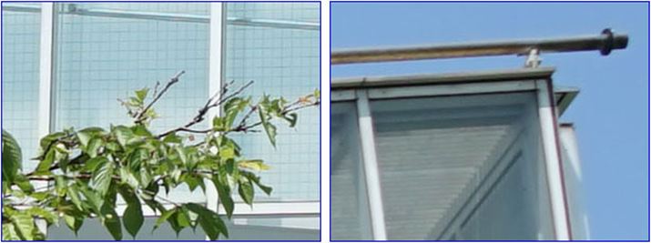 ISO100A1/500bAEV+0.7